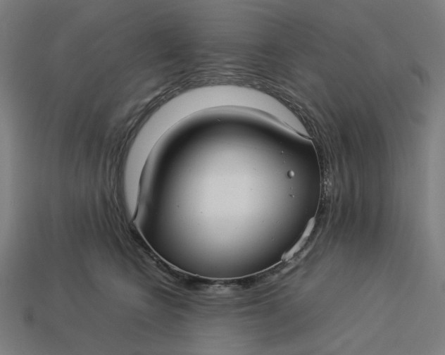 X0000113370566200910061103