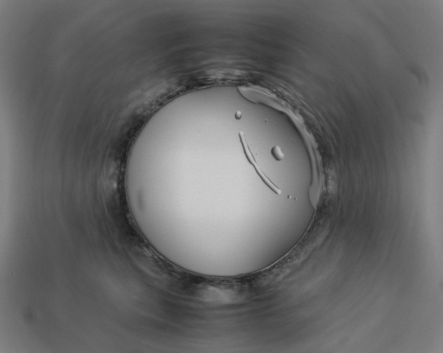 X0000113370567200910061103