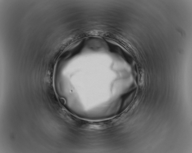 X0000113370569200910061103