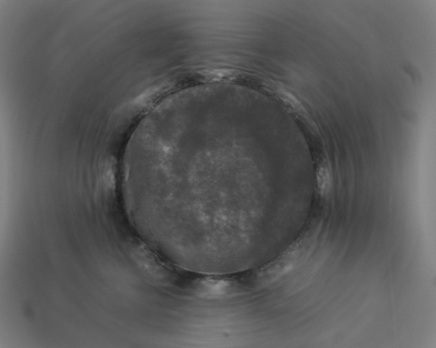 X0000113370570200910061103