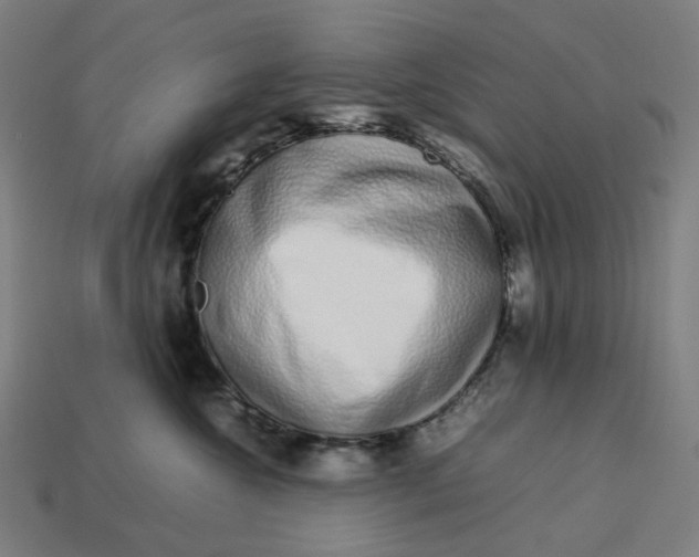 X0000113370572200910061103