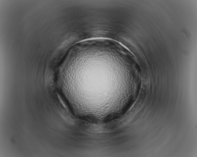 X0000113370573200910061103