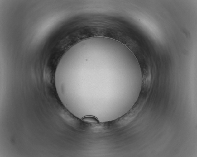 X0000113370574200910061103