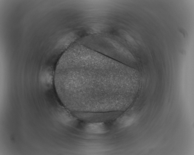 X0000113370576200910061103