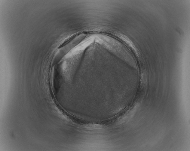 X0000113370577200910061102