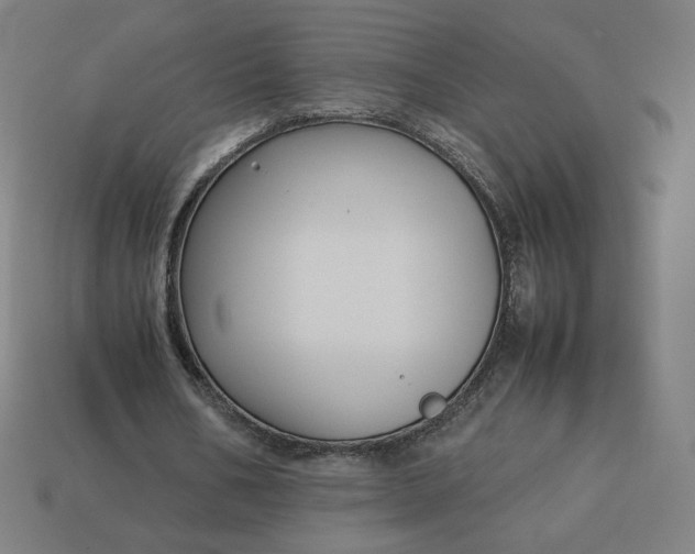 X0000113370578200910061102