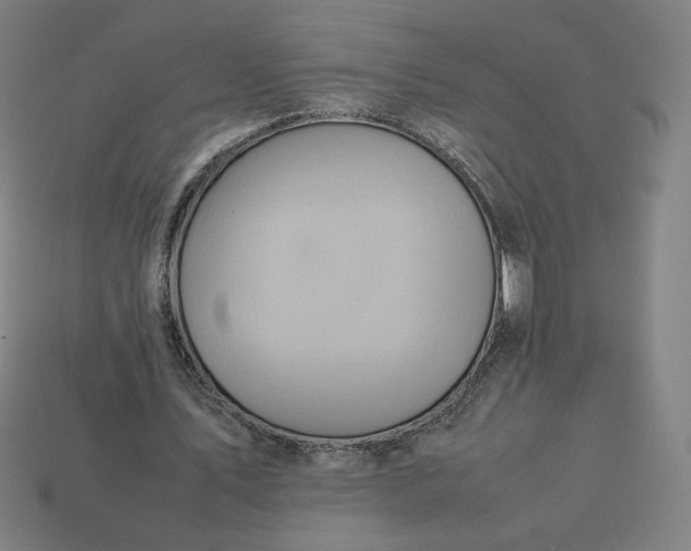 X0000113370579200910061102