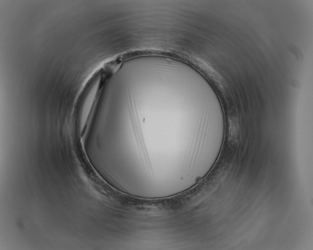 X0000113370580200910061102