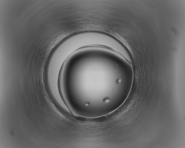 X0000113370581200910061102