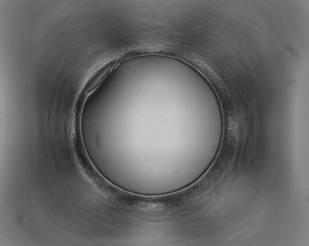 X0000113370582200910061102