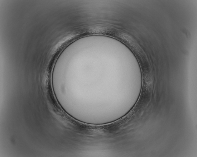 X0000113370583200910061102