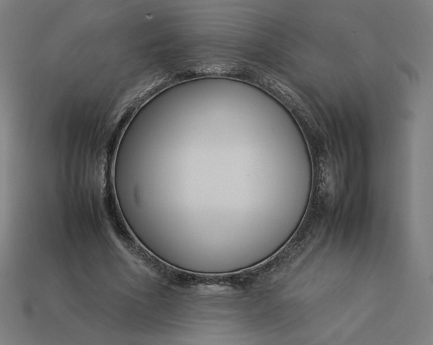 X0000113370586200910061102