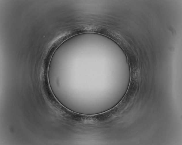 X0000113370587200910061102