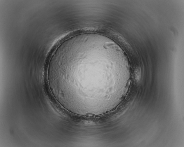 X0000113370588200910061102