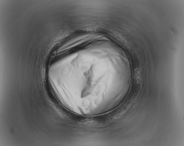 X0000113370589200910061102