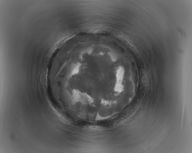 X0000113370590200910061102