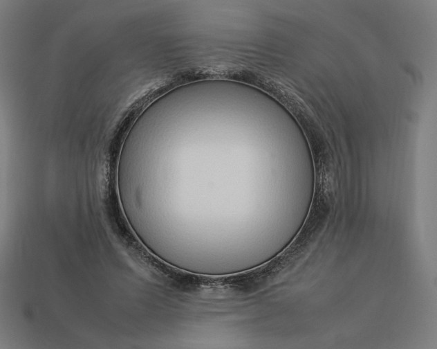 X0000113370591200910061102