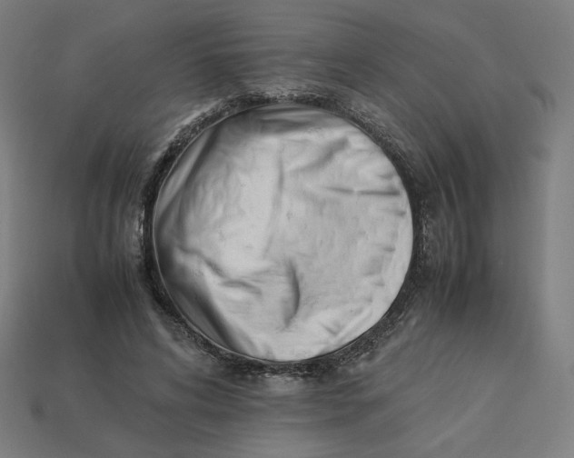 X0000113370592200910061102