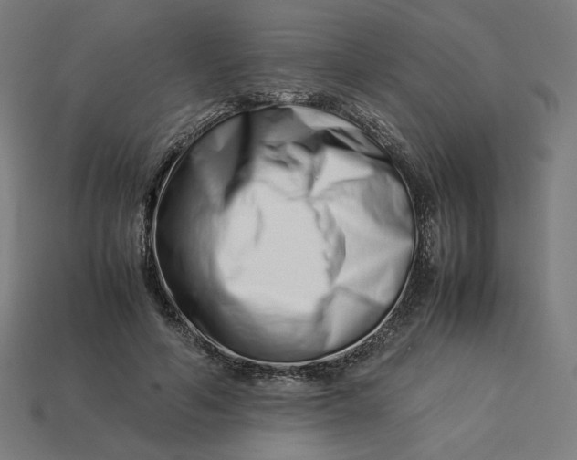 X0000113370594200910061102