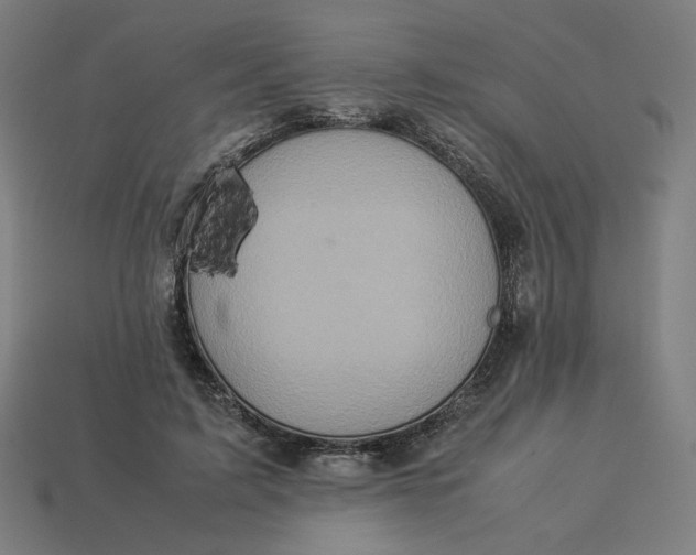 X0000113370595200910061102