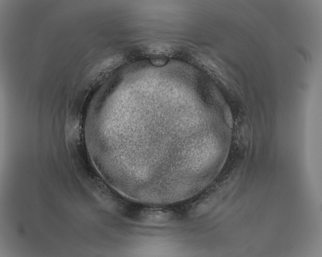 X0000113370597200910061102