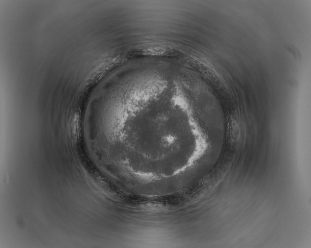 X0000113370598200910061102