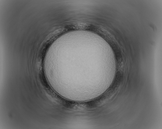 X0000113370599200910061102