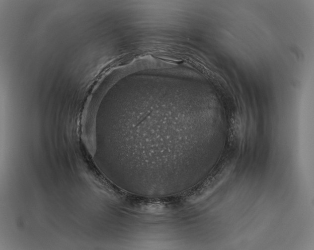 X0000113370600200910061102