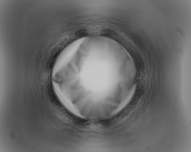 X0000113370601200910061102