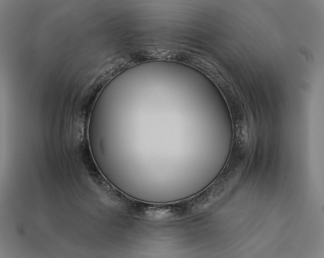 X0000113370602200910061102