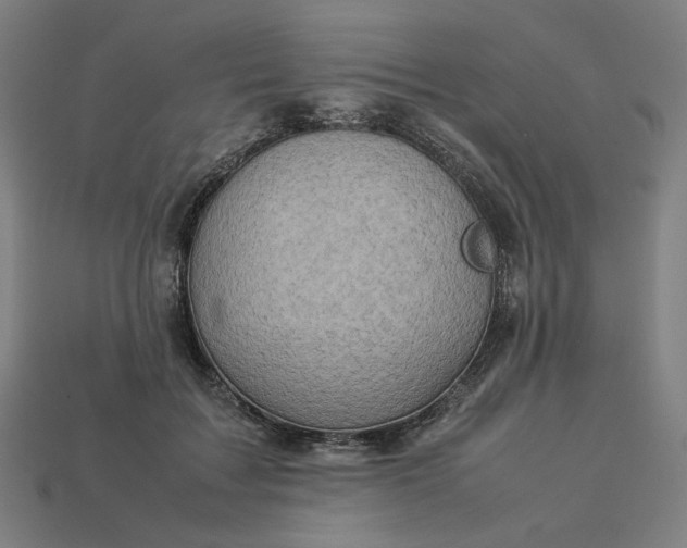 X0000113370603200910061102