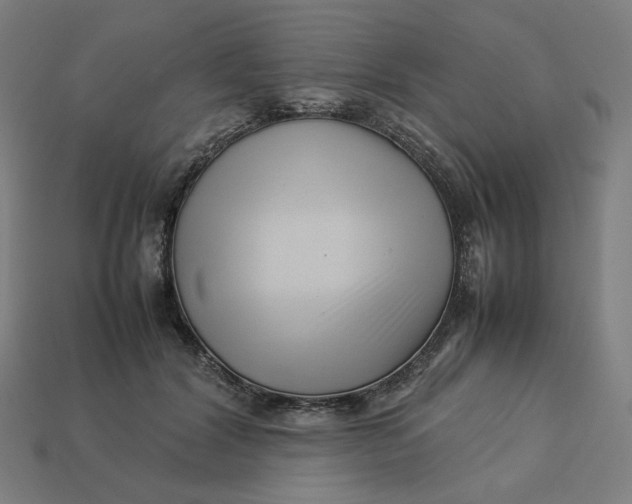 X0000113370604200910061102