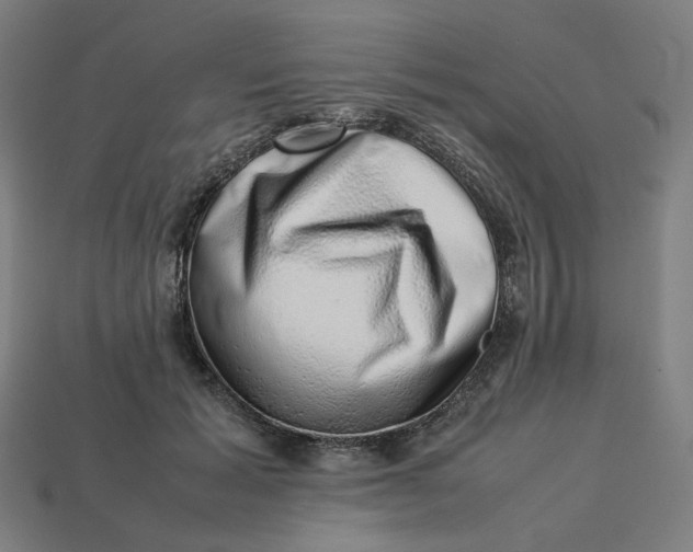 X0000113370605200910061102