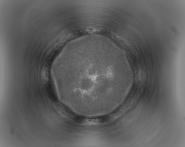 X0000113370606200910061102