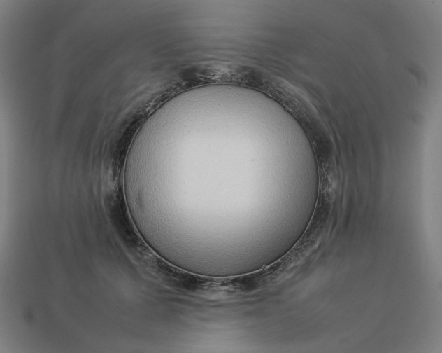 X0000113370607200910061102