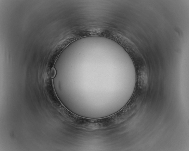 X0000113370608200910061102