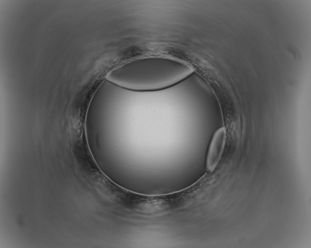 X0000113370609200910061102