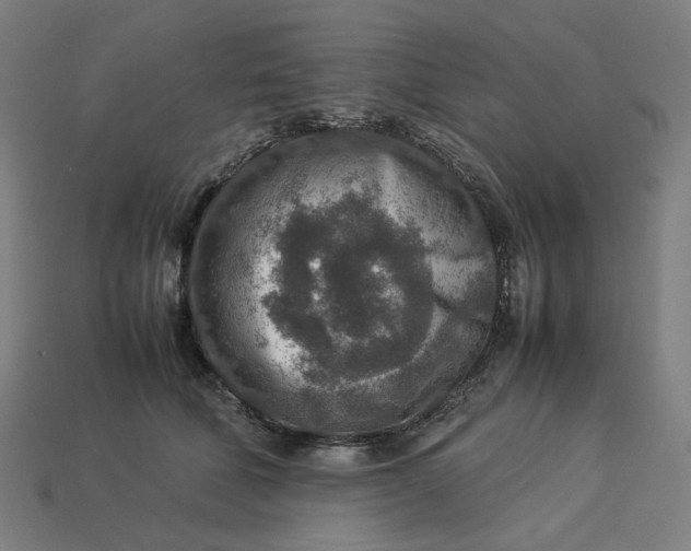 X0000113370610200910061102