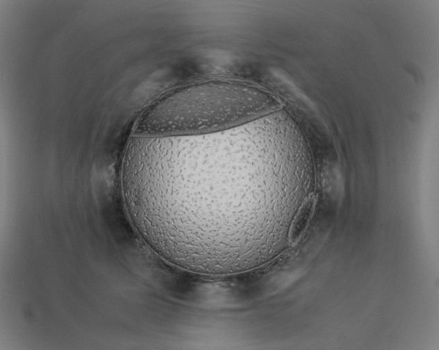 X0000113370611200910061102