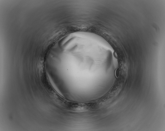 X0000113370612200910061102