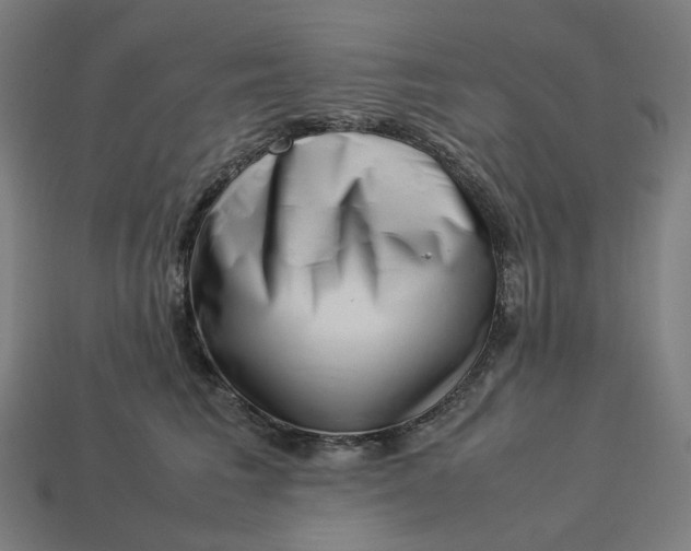 X0000113370613200910061102