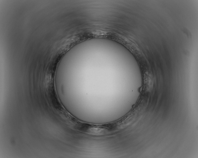 X0000113370614200910061101