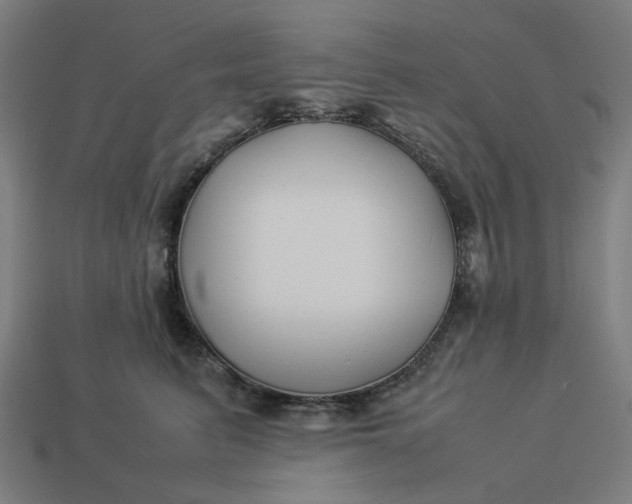 X0000113370615200910061101