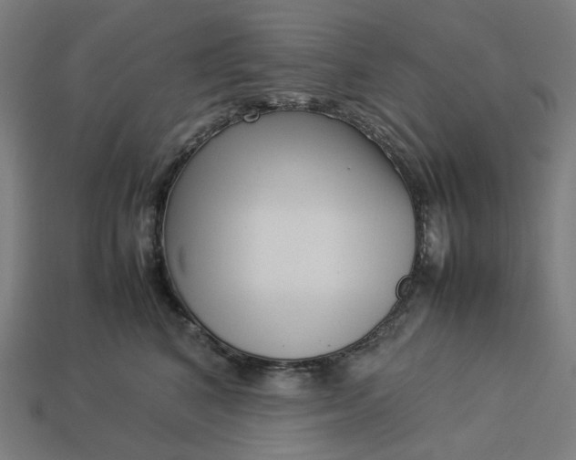 X0000113370616200910061101