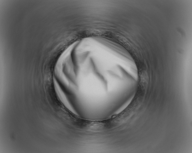 X0000113370617200910061101