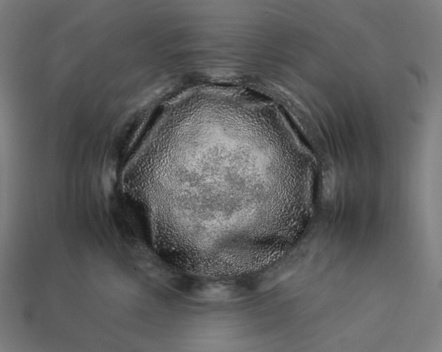 X0000113370618200910061101