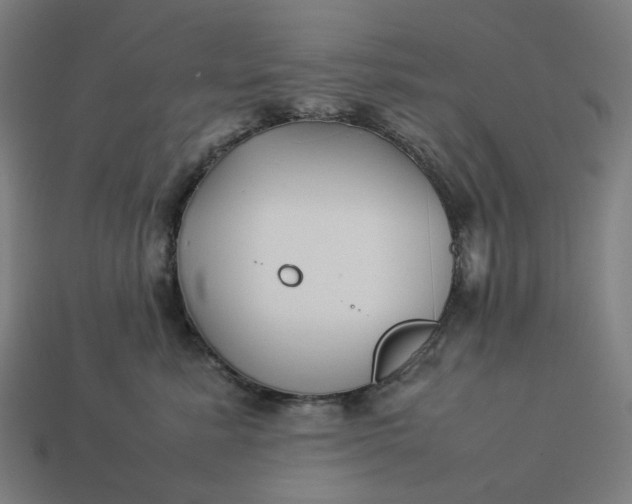 X0000113370619200910061101