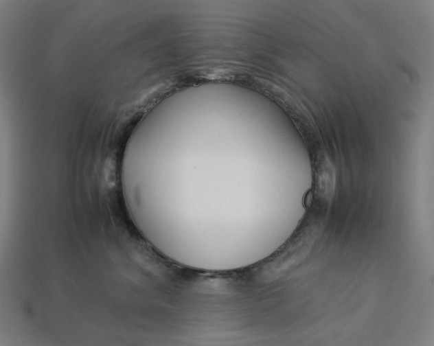 X0000113370620200910061101