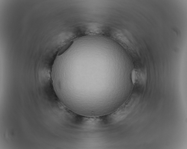 X0000113370621200910061101