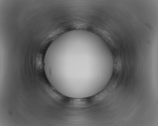 X0000113370622200910061101